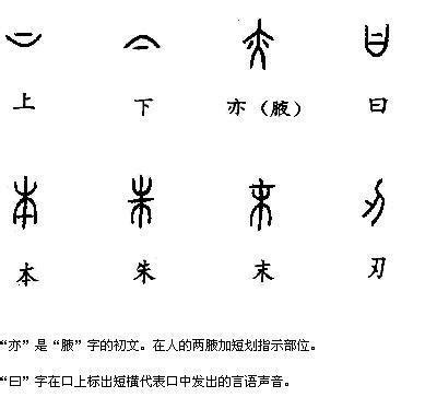 指事字大全|指事字